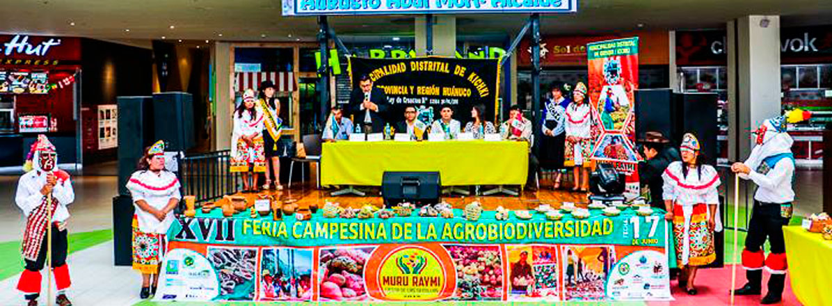 EN KICHKI SE VIVIRá EL MURU RAYMI 2018 EN KICHKI SE VIVIRá EL MURU RAYMI 2018